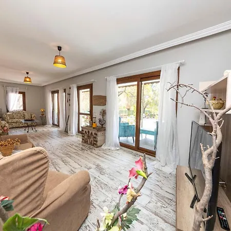 Villa Enchanting House With Impressive Interior Design Surrounded By Nature In Bodrum
