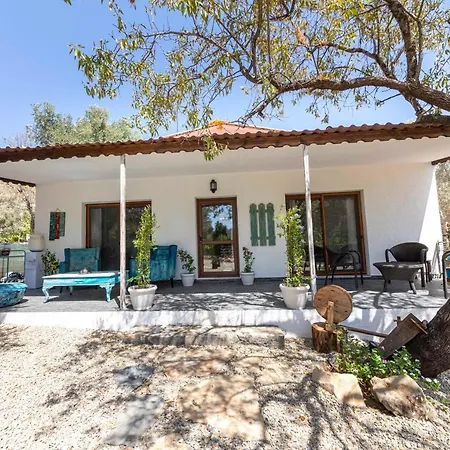 Enchanting House With Impressive Interior Design Surrounded By Nature In Bodrum Villa Ciftlikkoy (Aegean)