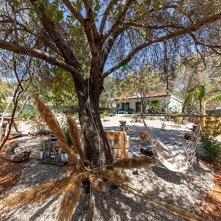 Villa Enchanting House With Impressive Interior Design Surrounded By Nature In Bodrum