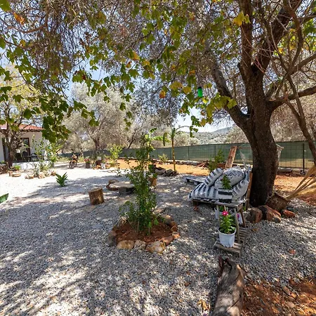 Enchanting House With Impressive Interior Design Surrounded By Nature In Bodrum Villa Ciftlikkoy (Aegean)